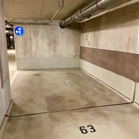 Apartment Luxury Penthouse For 8 - Center - Parking - Therme 8 Min - Airport 15 Min *